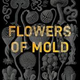 Image for article titled Under the radar, underrated, or simply missed: 7 books from 2019’s first half that deserve more attention